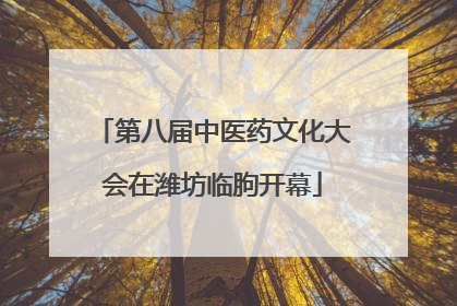 第八届中医药文化大会在潍坊临朐开幕
