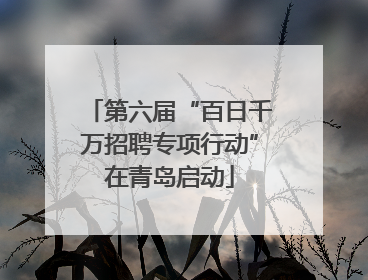 第六届“百日千万招聘专项行动”在青岛启动