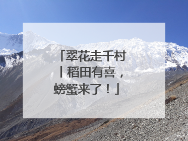 翠花走千村丨稻田有喜，螃蟹来了！