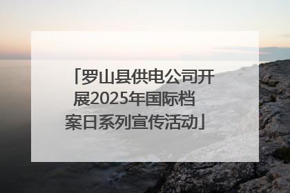 罗山县供电公司开展2025年国际档案日系列宣传活动