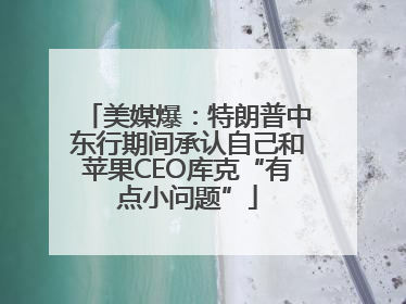 美媒爆：特朗普中东行期间承认自己和苹果CEO库克“有点小问题”