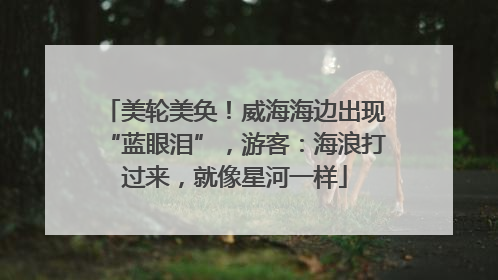 美轮美奂！威海海边出现“蓝眼泪”，游客：海浪打过来，就像星河一样