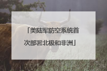 美陆军防空系统首次部署北极和非洲