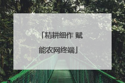 精耕细作 赋能农网终端