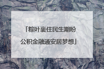 粽叶裹住民生期盼 公积金融通安居梦想