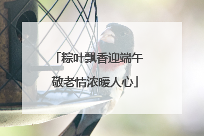 粽叶飘香迎端午 敬老情浓暖人心