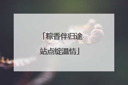 粽香伴归途 站点绽温情