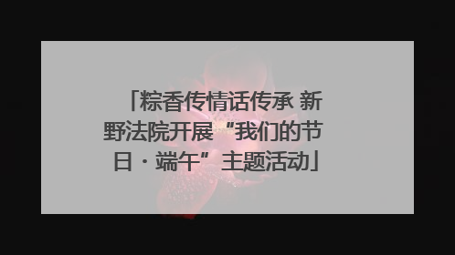 粽香传情话传承 新野法院开展“我们的节日・端午”主题活动