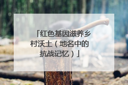 红色基因滋养乡村沃土（地名中的抗战记忆）