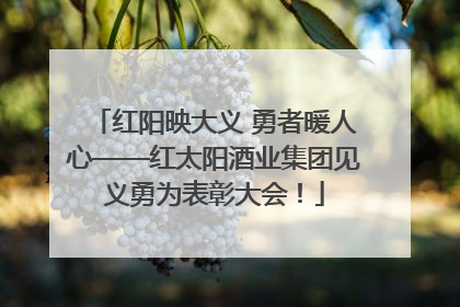 红阳映大义 勇者暖人心——红太阳酒业集团见义勇为表彰大会！