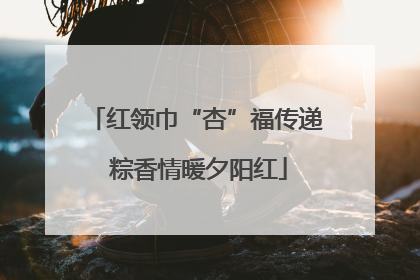 红领巾“杏”福传递 粽香情暖夕阳红