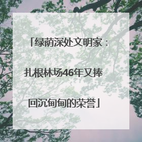 绿荫深处文明家：扎根林场46年又捧回沉甸甸的荣誉