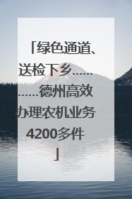 绿色通道、送检下乡…………德州高效办理农机业务4200多件