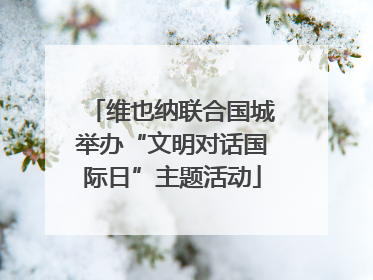 维也纳联合国城举办“文明对话国际日”主题活动