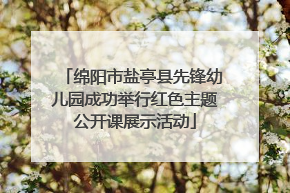 绵阳市盐亭县先锋幼儿园成功举行红色主题公开课展示活动