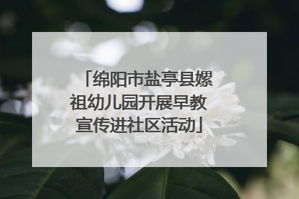 绵阳市盐亭县嫘祖幼儿园开展早教宣传进社区活动