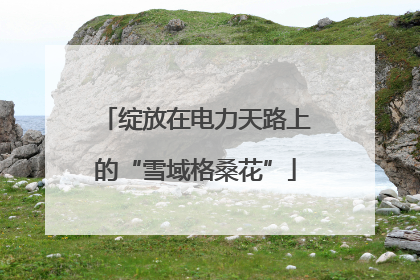 绽放在电力天路上的“雪域格桑花”