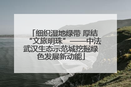 细织湿地绿带 厚结“文旅明珠”——中法武汉生态示范城挖掘绿色发展新动能