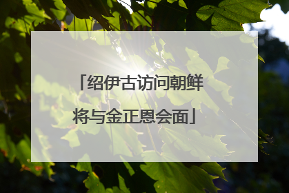 绍伊古访问朝鲜 将与金正恩会面