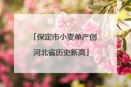 保定市小麦单产创河北省历史新高