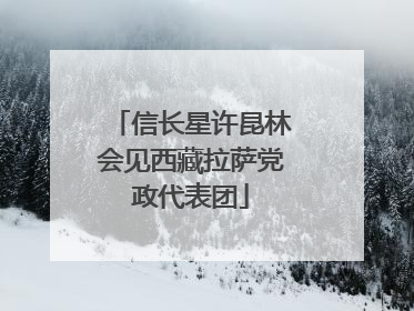 信长星许昆林会见西藏拉萨党政代表团