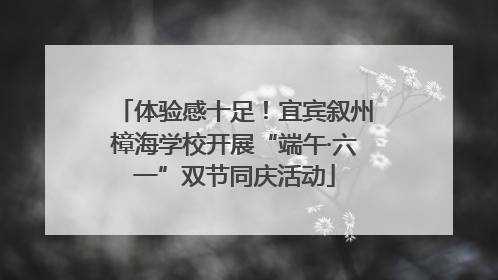 体验感十足！宜宾叙州樟海学校开展“端午·六一”双节同庆活动