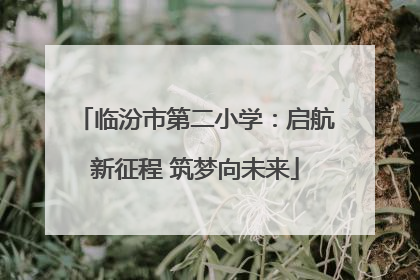 临汾市第二小学：启航新征程 筑梦向未来