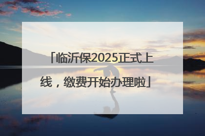 临沂保2025正式上线，缴费开始办理啦