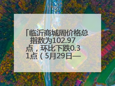 临沂商城周价格总指数为102.97点，环比下跌0.31点（5月29日—6月4日）