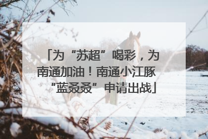为“苏超”喝彩，为南通加油！南通小江豚“蓝叒叒”申请出战
