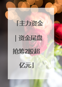 主力资金｜资金尾盘抢筹2股超亿元