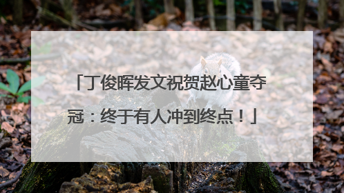 丁俊晖发文祝贺赵心童夺冠：终于有人冲到终点！