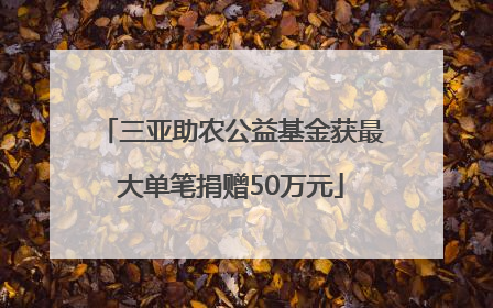 三亚助农公益基金获最大单笔捐赠50万元