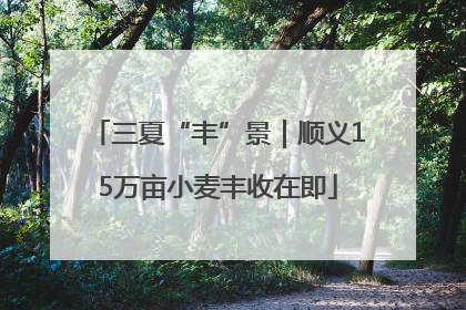 三夏“丰”景｜顺义15万亩小麦丰收在即