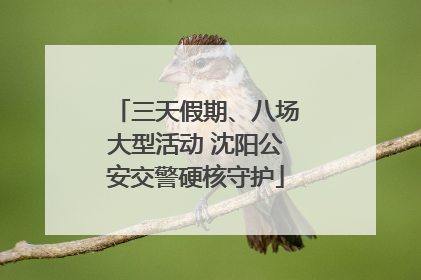 三天假期、八场大型活动 沈阳公安交警硬核守护