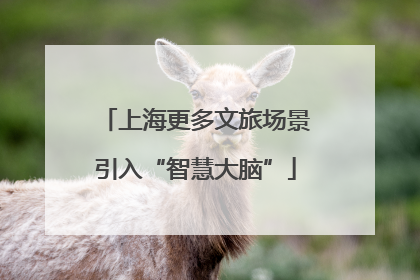 上海更多文旅场景引入“智慧大脑”