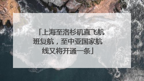上海至洛杉矶直飞航班复航，至中亚国家航线又将开通一条