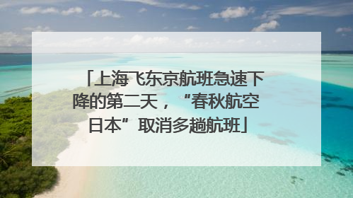 上海飞东京航班急速下降的第二天，“春秋航空日本”取消多趟航班