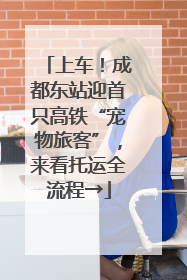 上车！成都东站迎首只高铁“宠物旅客”，来看托运全流程→