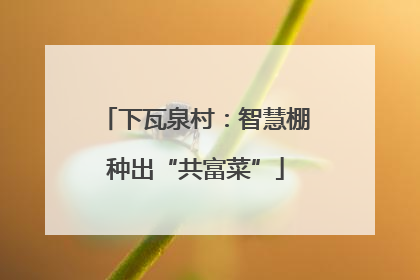 下瓦泉村：智慧棚种出“共富菜”