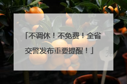 不调休！不免费！全省交警发布重要提醒！