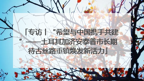 专访丨“希望与中国携手共建”——土耳其加济安泰普市长期待古丝路重镇焕发新活力