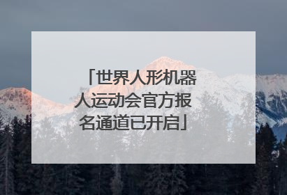 世界人形机器人运动会官方报名通道已开启