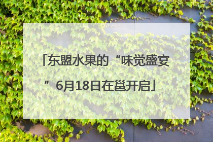东盟水果的“味觉盛宴”6月18日在邕开启