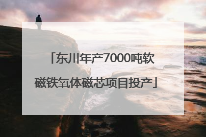 东川年产7000吨软磁铁氧体磁芯项目投产