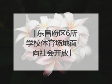 东昌府区6所学校体育场地面向社会开放