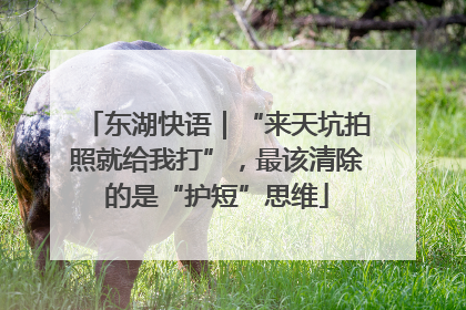 东湖快语｜“来天坑拍照就给我打”，最该清除的是“护短”思维