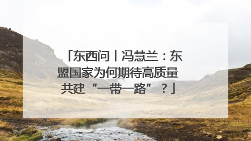 东西问丨冯慧兰：东盟国家为何期待高质量共建“一带一路”？