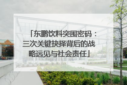 东鹏饮料突围密码：三次关键抉择背后的战略远见与社会责任