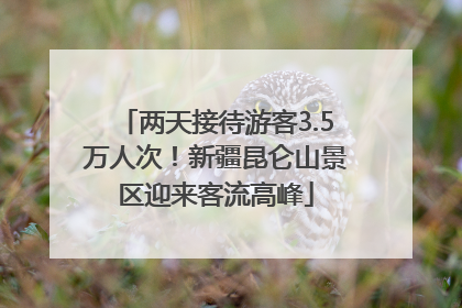两天接待游客3.5万人次！新疆昆仑山景区迎来客流高峰